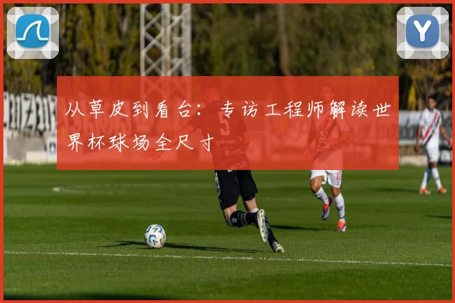 从草皮到看台：专访工程师解读世界杯球场全尺寸