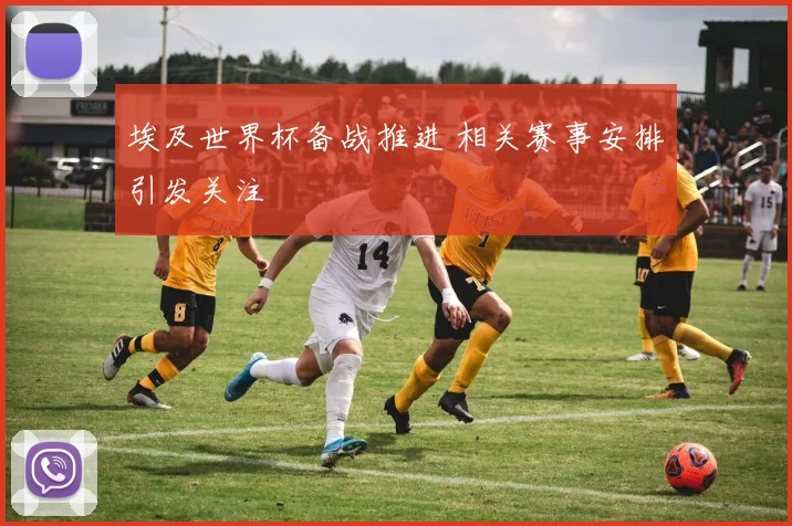 埃及世界杯备战推进 相关赛事安排引发关注